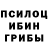 Псилоцибиновые грибы MAGIC MUSHROOMS tetyana voytovych
